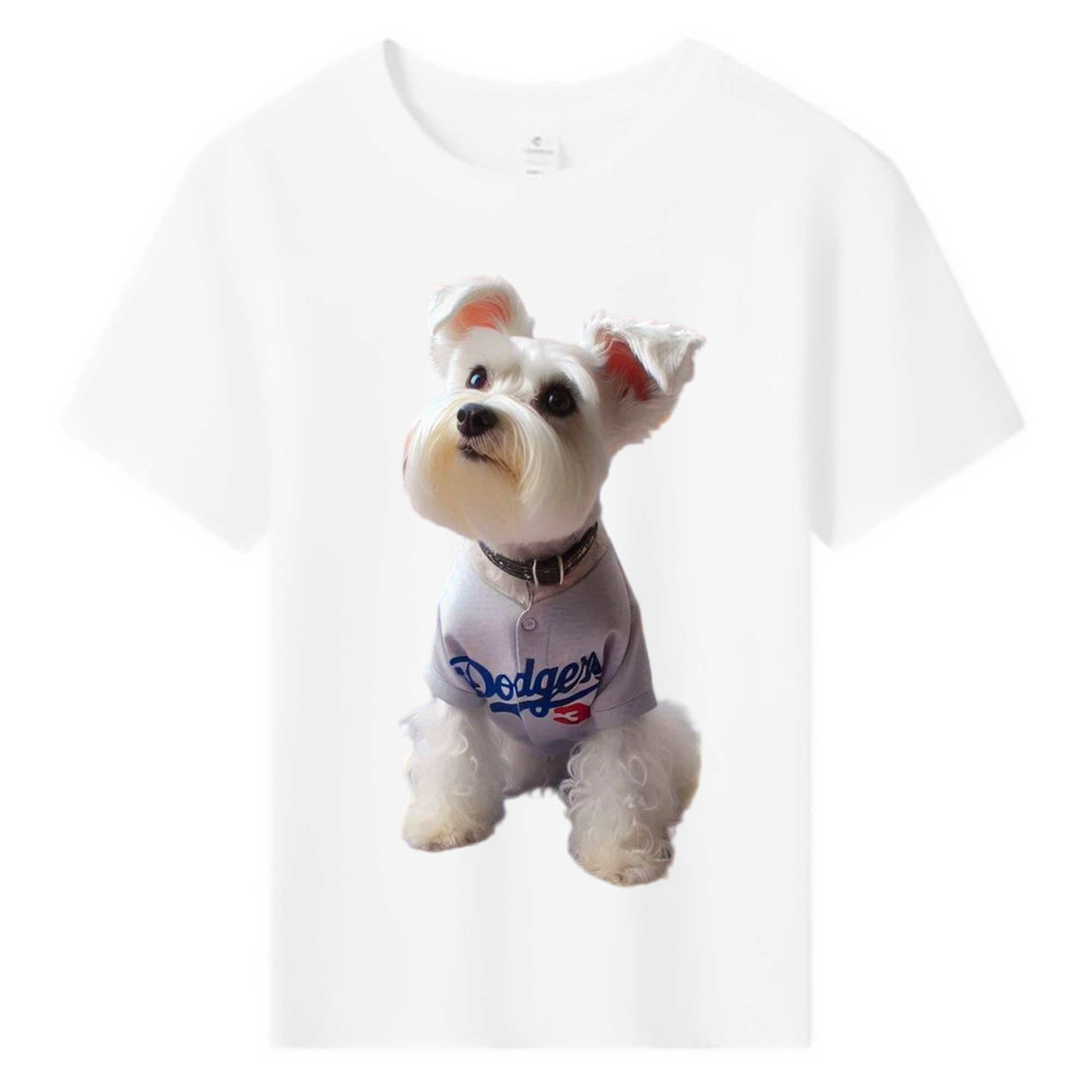  Combed Cotton Kids T-Shirt 180g With Front Heat Transfer Print – Soft, Lightweight, Side-Seamed Design – Stylish And Comfortable Casual Wear For Everyday Activities