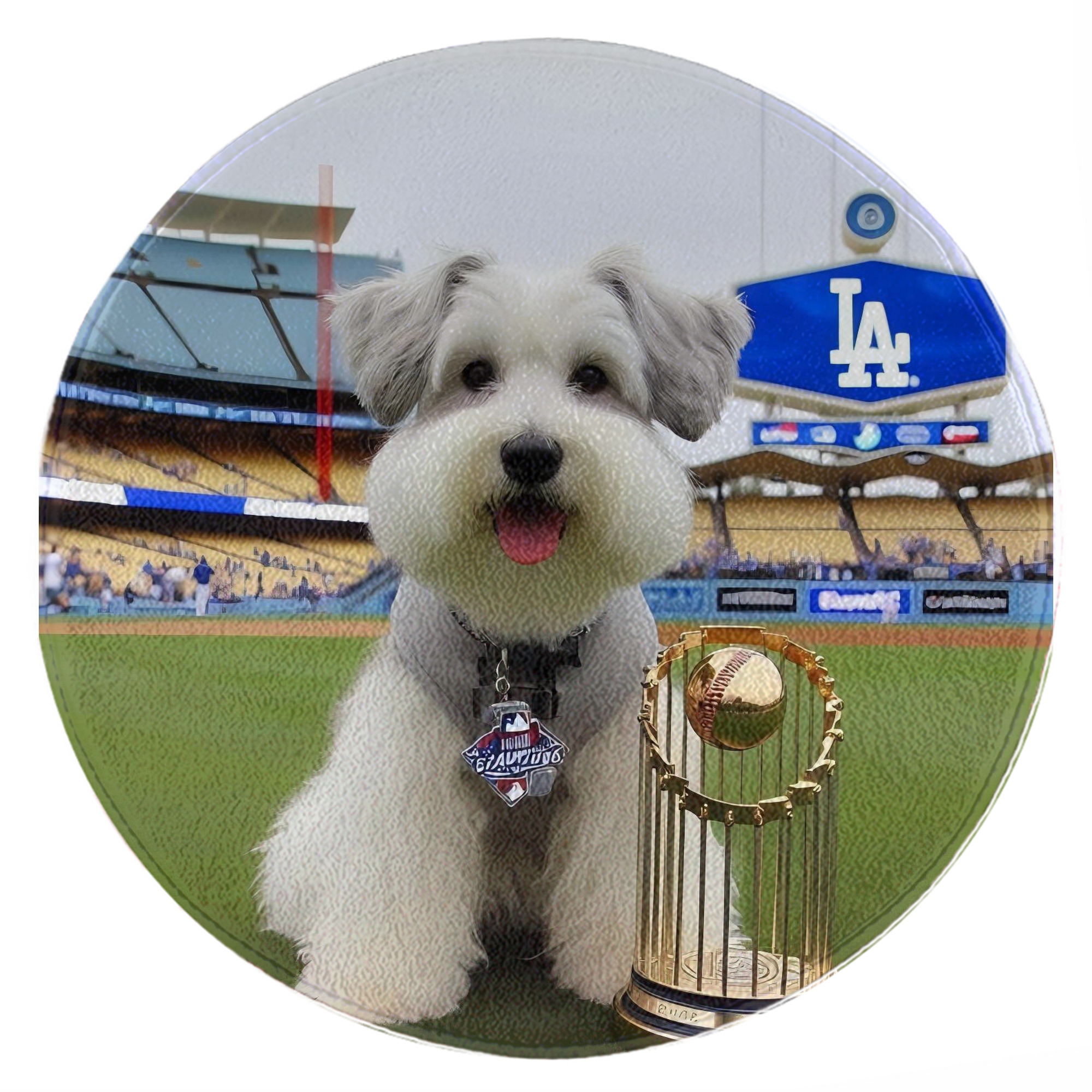  Round Floor Mat – Soft Flannel & High-Density Sponge Core – Non-Slip Dot Backing – Durable Stitched Edges – Quick-Dry & Breathable – Perfect For Home, Bathroom & Living Room